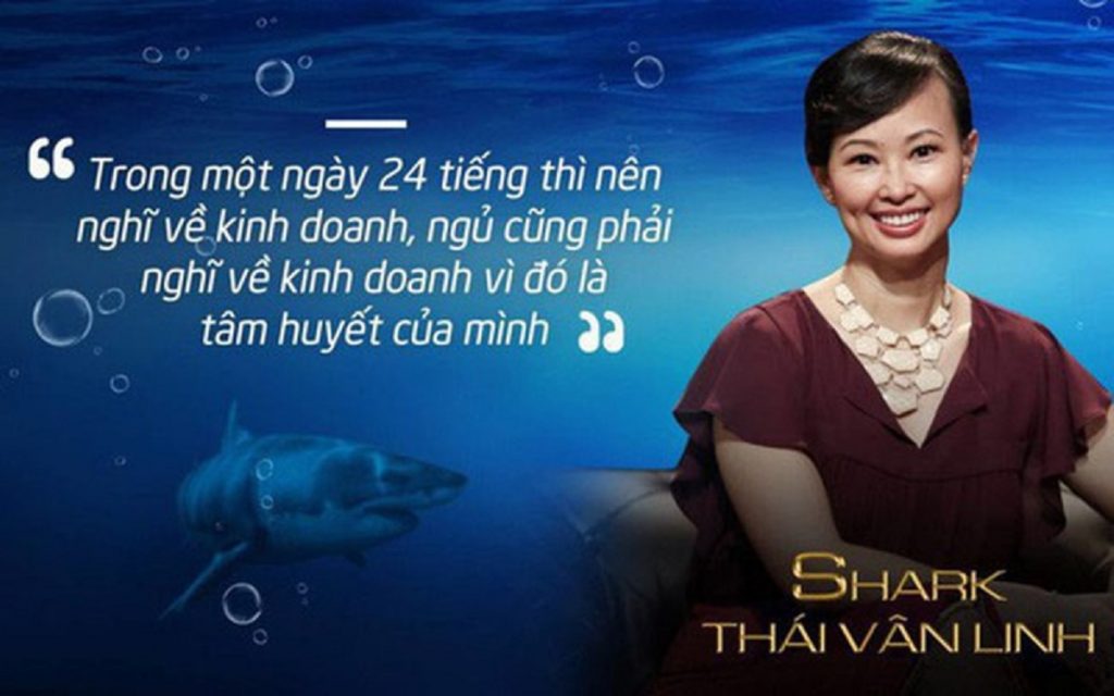 Sự nghiệp của Shark Linh trải qua nhiều giai đoạn khác nhau